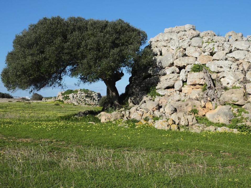 Hotel Boutique Ses 5 Claus Ciutadella  Εξωτερικό φωτογραφία
